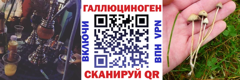 Псилоцибиновые грибы мухоморы магазин продажи OMG ссылка Андреаполь